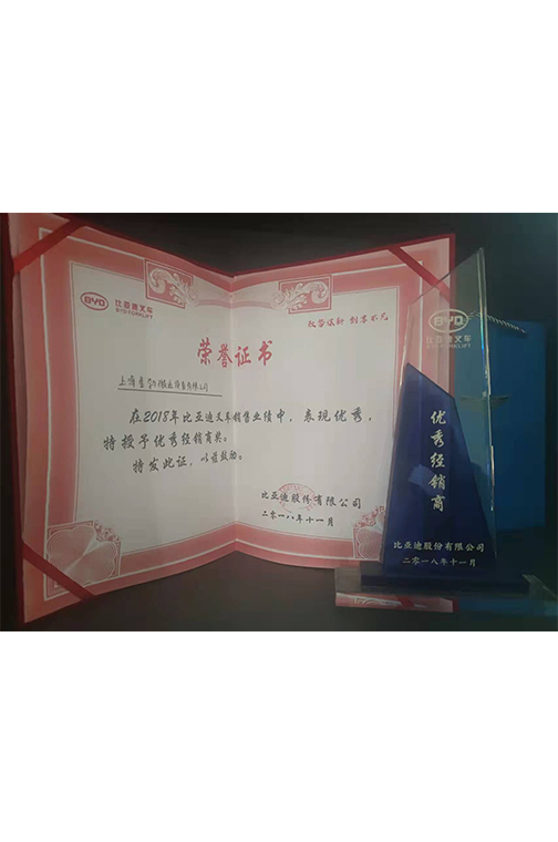 杨浦区比亚迪2018优秀经销商